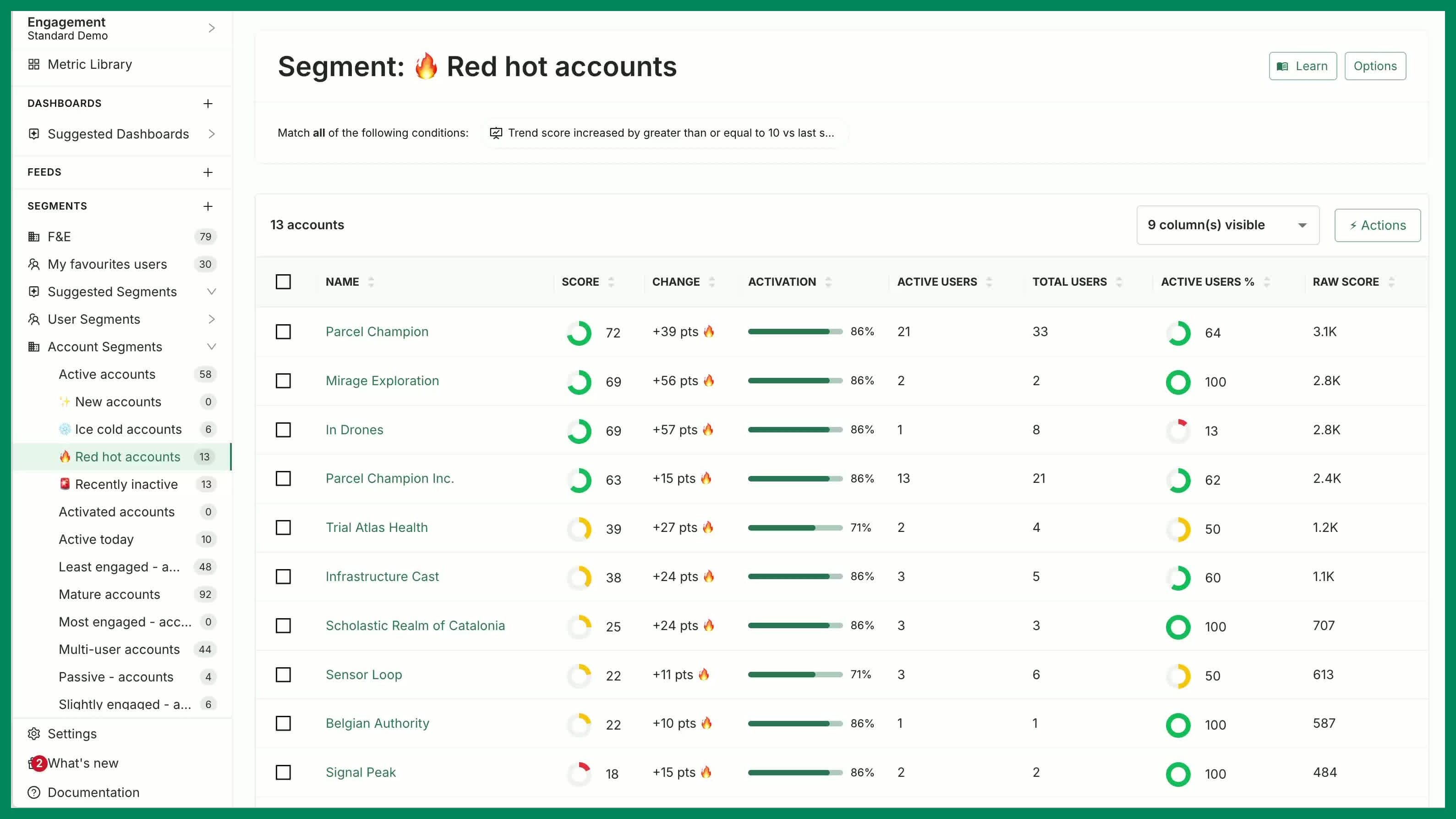 A segment showing the accounts that match its filters